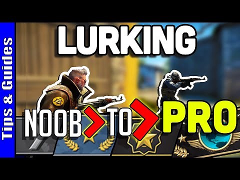 4 Levels of Lurkers : Beginner to Pro