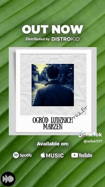 #gitara #polskamuzyka #ballada #prawdziwamuzyka #distrokid