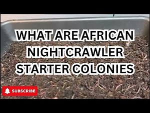 African Nightcrawler work, Let’s see what they’re up too . #worms #compost #vermicompost