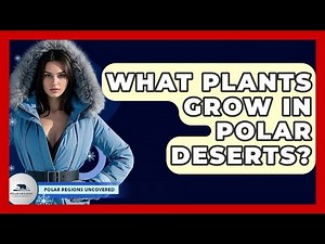 What Plants Grow In Polar Deserts? - Polar Regions Uncovered