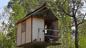 a large dovecote in a green park. doves are sitting in the house.