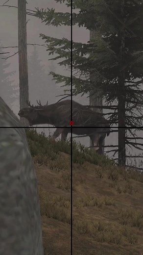 Experience the Thrill of Real Hunting in the Best Hunting Simulator Game!