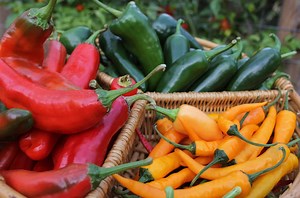 5 Different Types of Chili Peppers And Where They Grow
