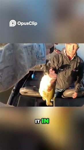 Catching Some Pre—Spawn Giants! #fishing #bassfishing #catchandrelease #outdoors