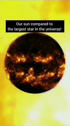 Comparing the Sun to the Largest Star in the Universe Unveil the mind-boggling size difference as we compare our humble Sun to the largest star known to humanity. Prepare to be awestruck by the sheer magnitude of cosmic proportions! ☀️⭐️ #SunVsLargestStar #CosmicSizeComparison #StellarMagnitude #Astronomy #SpaceExploration #CosmicWonders #StarGazing #AstroComparisons #UniverseSize #StellarScale #CelestialMarvels #SpaceFacts #CosmicPerspective #AstroKnowledge #StellarDiscovery #Physics #Science #