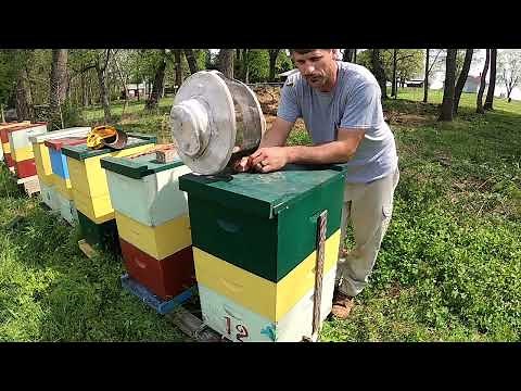 Spring Set Up for Honey in Single Deeps