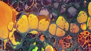 A differential interference contrast DIC microscopy animation highlighting the presence of gap junctions in a tissue sample demonstrating their prevalence in various cell types.