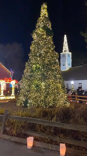 4.4K views · 2.9K reactions | ✨ The magic begins next Friday at Olde...