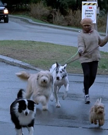 Final Destination 2 – Death Sets the Stage Again! 😨 Every Detail is a Trap…💀⚡