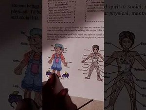 Internal and External Body Parts @Primary School Learning