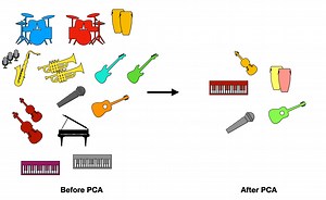 Principal Component Analysis (PCA) | Towards Data Science