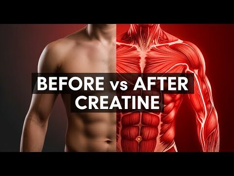 What Creatine Does to Your Muscles | The Science Behind Strength & Growth 💪