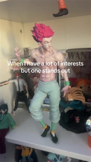 Showcasing My Zoro Merchandise Collection