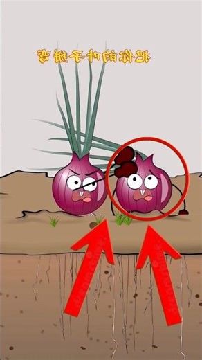 পেঁয়াজ ও তার মালিকের মজাদার কার্টুন ভিডিও #shorts #cartoon #banglacartoon #rupkothargolpo