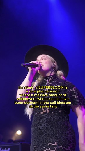 SUPERBLOOM OUT OCT 27TH 💛