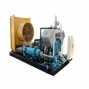 [Hot Item] Large Displacement, Oil-Free/Low Oil Natural Gas Compressor