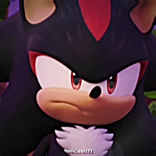 Collaboración con mi mejor amiga: Sonic y Shadow