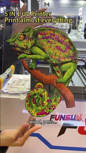 Why is the FUNSUN UV Printer so popular at the APPP EXPO (Shanghai)?
