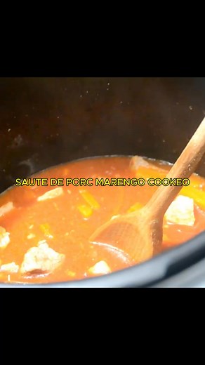 Sauté de porc marengo au cookeo Ingrédients pour 4 personnes 800 g de sauté de porc 400 g de carottes 2 échalotes 1 petite boite de tomates pelées 100 ml de vin blanc Concentré de tomates Sel Poivre 2 cuillères à soupe d’huile d’olive 100 ml d’eau | Cookeo Recettes