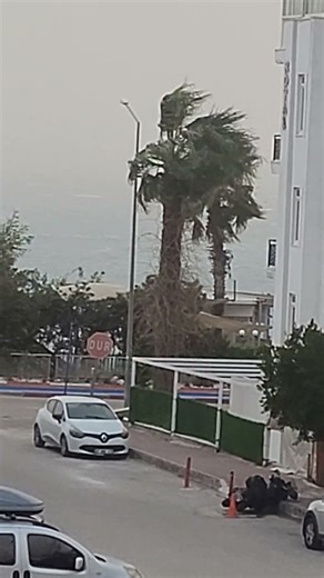 Typical January weather in Antalya. Météo typique du mois de janvier à Antalya.