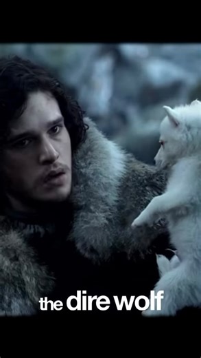 The Direwolf is back after 10,000 years!🐺✨ Meet Romulus & Reamus—born Oct 2024, the world’s first de-extincted direwolves, thanks to @itiscolossal. Now thriving in a 20-acre wild enclosure, these majestic beasts are helping reshape conservation science. From woolly mammoths to dodos, the future of extinct species is here. 🌍🧬 Source : time magazine #Direwolf #DeExtinction #ColossalScience #Wolf #wolves #Biodiversity | PAW POINT UK