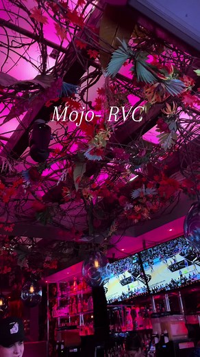 Exciting Night Out at Mojo in Rockville Centre