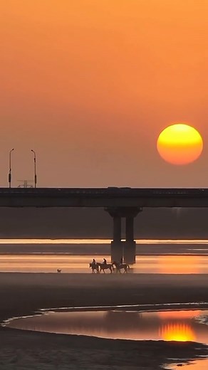 The Yellow River section in Zhengzhou, the provincial capital of Central China’s Henan Province, displays splendid sunset scenery: Three men with their horses walked ahead as cars over the bridge moved forward, consisting of a traditional and modern mixture. #Sunset #scenery #stunning #YellowRiver #zhengzhou #diversifiedchina | CGTN China24