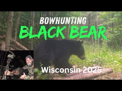 Bowhunting Wisconsin Bear 2025