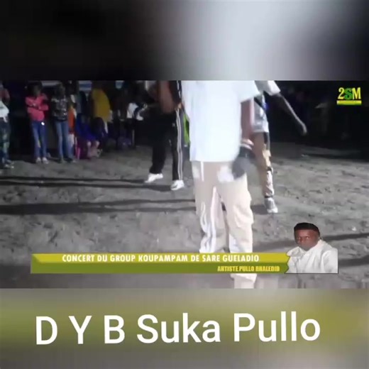 D Y B suka pullo
