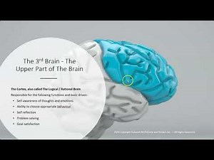 Understanding Human Emotions - The Science Explained