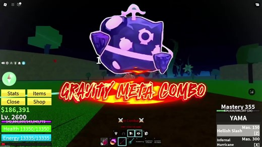 Best Gravity Rework Build in Blox Fruits