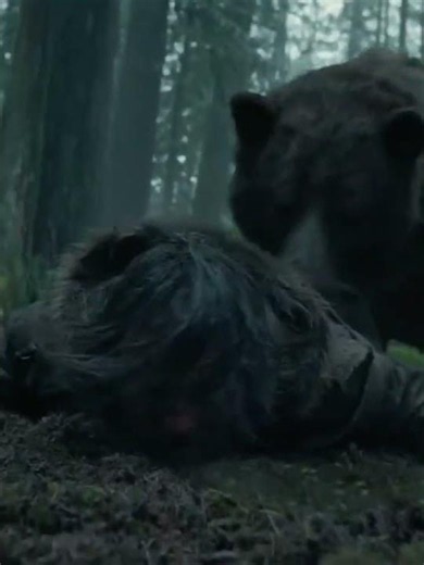 The Revenant (2015) – Left for dead, a frontiersman fights to survive.