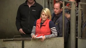 This Farming Life (TV Series 2016–2025)