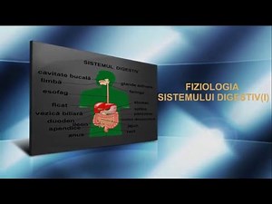 Lecția 23: Fiziologia sistemului digestiv (I)