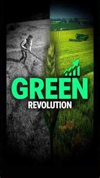 Green Revolution: The Farming Breakthrough Behind 8 Billion People