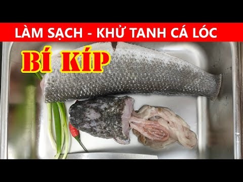 Cách làm cá lóc sạch không tanh đơn giản tại nhà