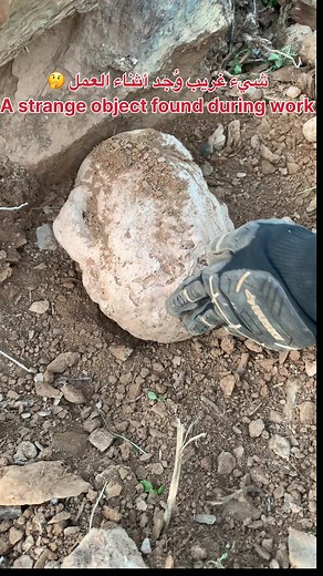 #strange_objects #mystery_find #curious_discovery #odd_find #facebookreels
