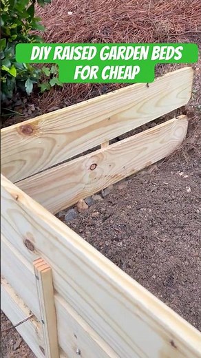 Build Raised Garden Beds for CHEAP! 🌱