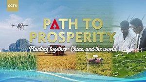 Planting together: China and the world