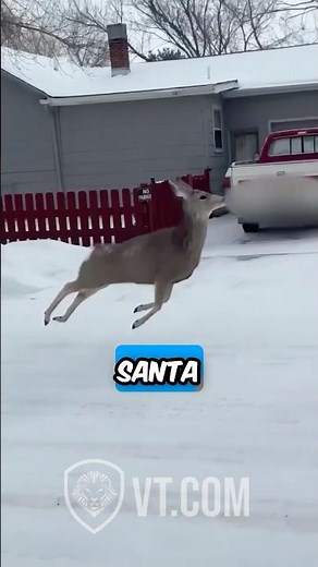 Hilarious Deer Sings ‘Here Comes Santa Claus’ While Prancing Through Town! 😂