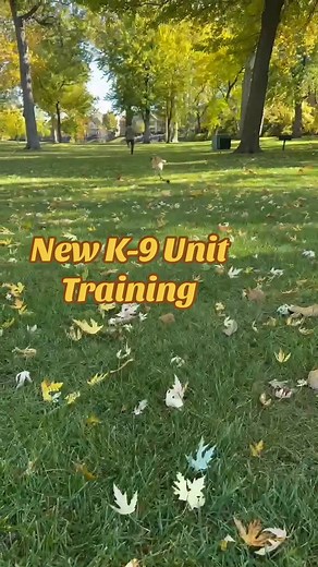 Police need a “Puggle Unit” | Puggle Snuggle