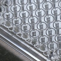 Video: Alternative In Vitro Methods for the Determination of Viral Capsid Structural Integrity