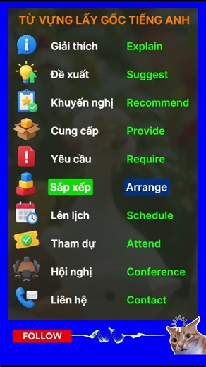 Essential Vietnamese Phrases for Working in Vietnam #english