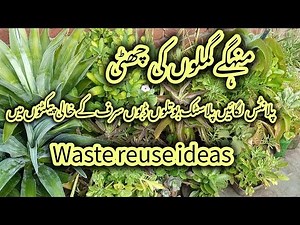 How to grow plants in waste material/plastic bottles reuse/reuse ideas in garden