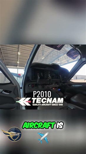 2020 Tecnam P2010: 3 Engine Options Revealed! #shorts