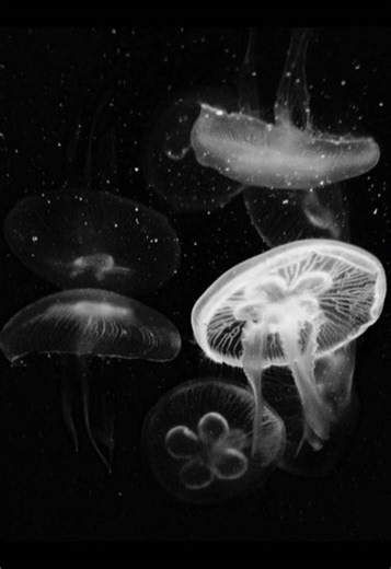 Emotional Moments with the OBX Cast