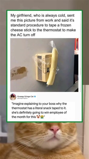 she really used a cheese stick for the ac 😭 | funny memes | dank memes | relatable american memes