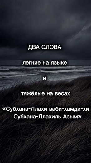 28 декабря 2025 г.