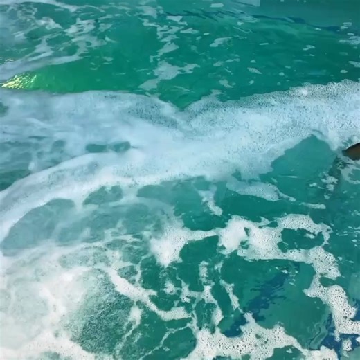 ✨The Summer of your dreams✨ Your poolside escape awaits! Fully embrace the lazy days of summer and enjoy exceptional savings at the Mission Inn Hotel & Spa. Package Includes -Overnight accommodations -$25 Poolside Dining Credit -1pm Late Check Out Book Now! See terms & Conditions | The Mission Inn Hotel & Spa | Facebook