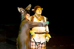 Interviews with Shrek